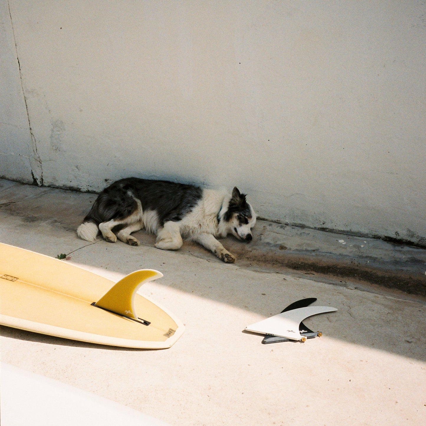 DEFLOW SURF ロングボードフィン