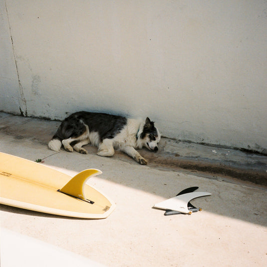 DEFLOW SURF ロングボードフィン